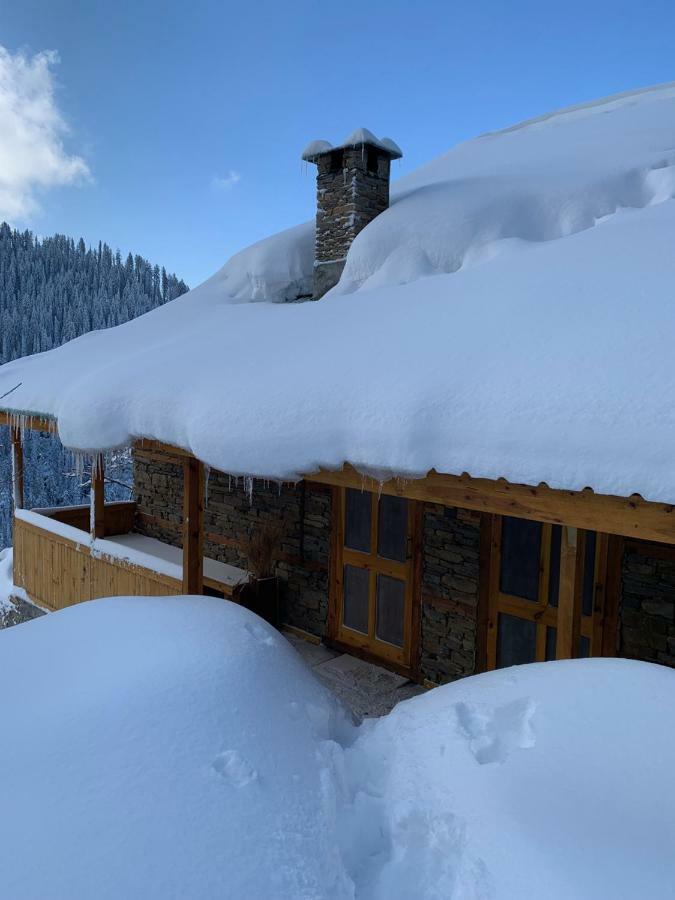 Skyline Villa Rental Narkanda Εξωτερικό φωτογραφία